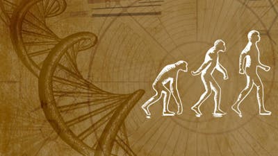 Briser les mythes de l'évolution
