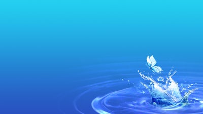 Emersion Conference Highlights