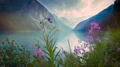 Root Connection - First Chakra