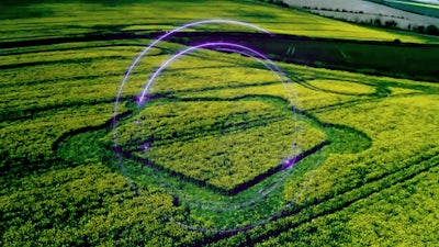 Crop circles: primavera del 2016