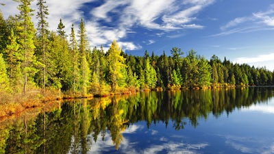 Interview with Dr. Jean Houston — Part 1