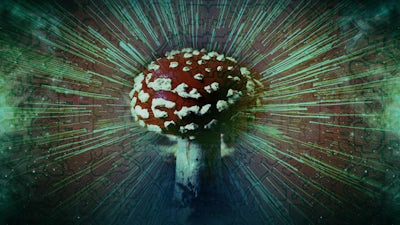 The Holy Mushroom Theory