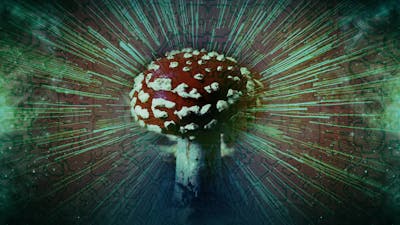 Die Theorie der heiligen Pilze