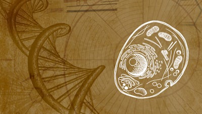 Telómeros, Longevidad y Espiritualidad