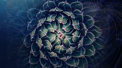 Nature of Time & Life Force