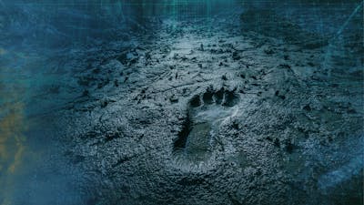 Tracking Bigfoot