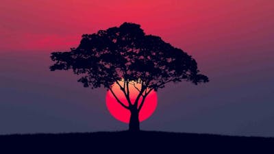Introduction: Awakening the Soul