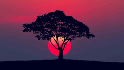 Introduction: Awakening the Soul