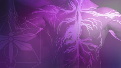 Restore Your Nervous system