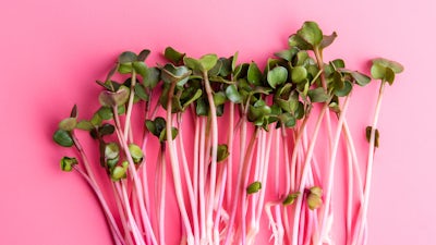 Nutrición y evolución personal