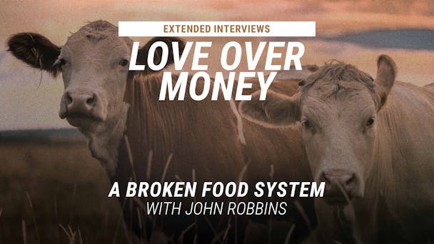 A Broken Food System