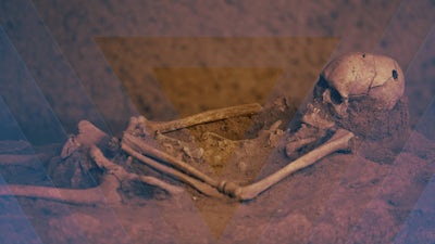 Vérités profondes sur notre origine