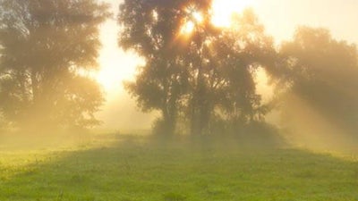 Meditation On Emotions