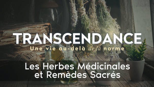 Les Herbes Médicinales et Remèdes Sacrés