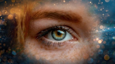 De la survie à la clarté