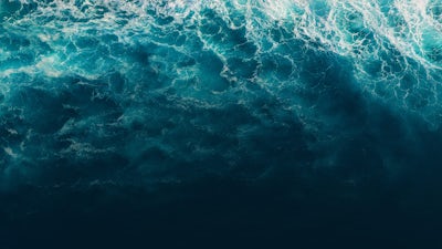 Gratitud: La llave de la felicidad 