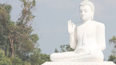 Robert Thurman