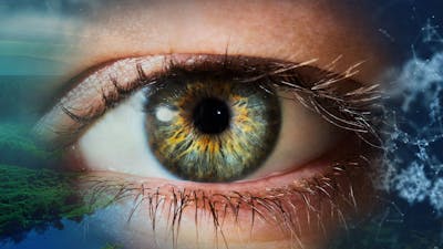 Développer son Intelligence Nutritionnelle