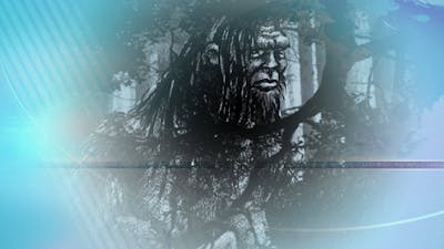 Bigfoot Hunting Season?