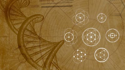 Harmonische Fraktale