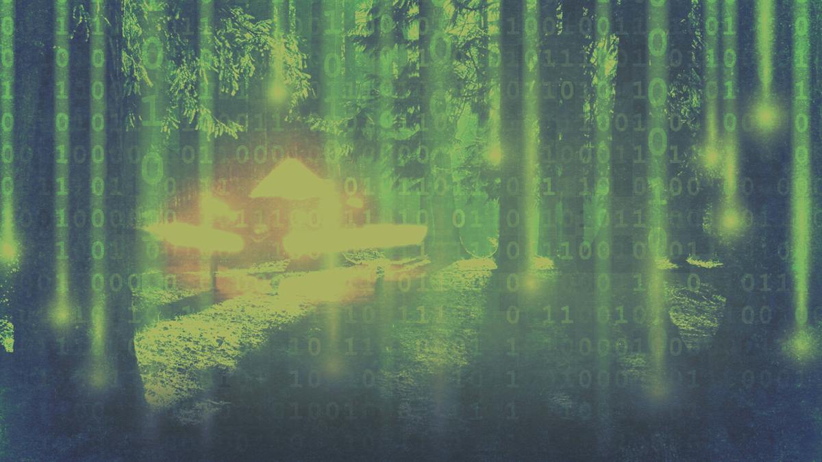 Watch Rendlesham Forest: Binary Code Messages Decoded - Stream Free | Gaia
