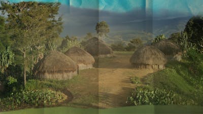 Papouasie - Nouvelle Guinée: Une brigade contre les serpents