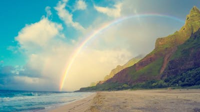 Rainbow Interviews