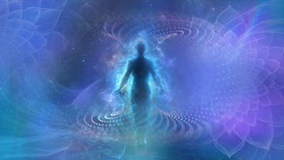 Morphogenetic Field: Rewrite Humanity’s Blueprint