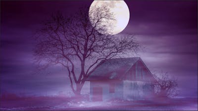 The Real Story behind The Conjuring with Andrea Perron
