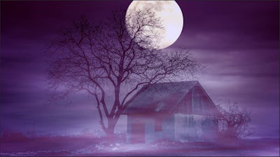 The Real Story behind The Conjuring with Andrea Perron