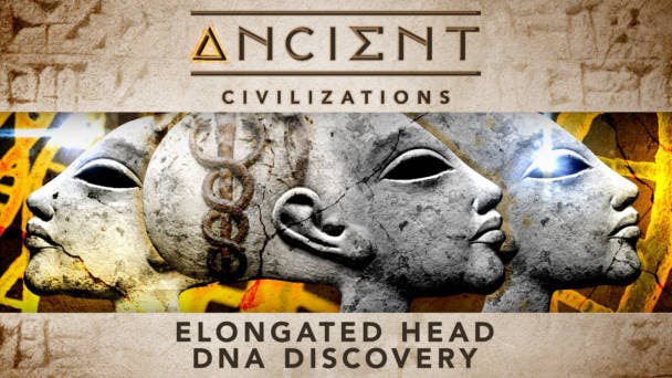 Elongated Head DNA Discovery