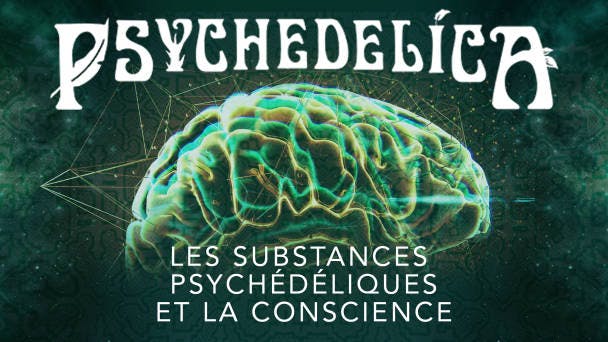 Les psychédéliques et la conscience