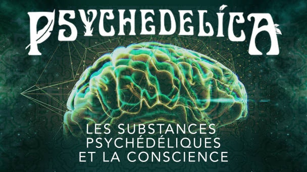 Les psychédéliques et la conscience Vidéo