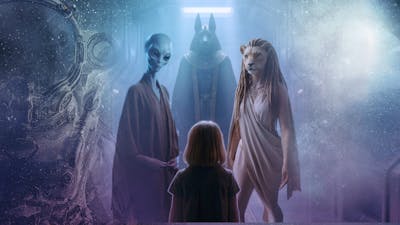 What They Told Me About Humanity