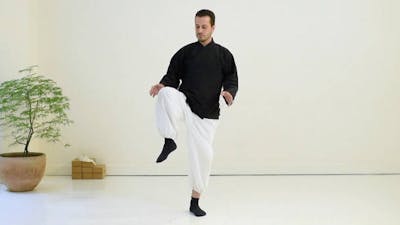 Le Qi Gong des 5 éléments - Le métal