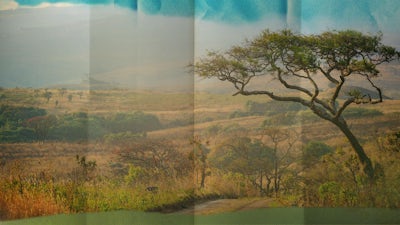 Malawi: les guérisseurs des collines