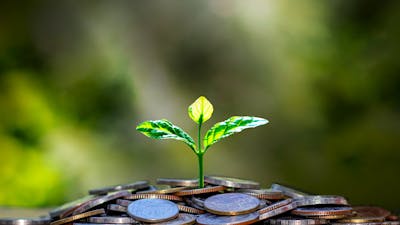 Sesión 2: Atrae y mantén riqueza