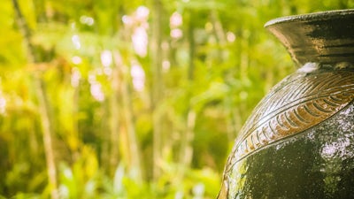 Deborah Pratt on The Vision Quest