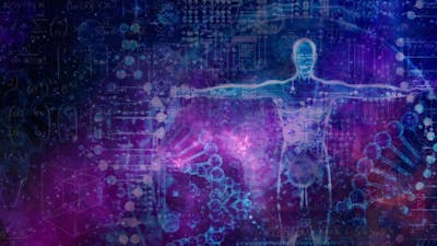 Entdecke das Potential deiner DNA