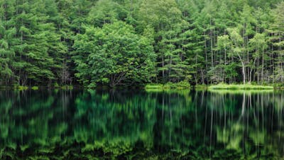 Meditación para un día positivo