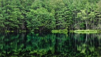 Meditación para un día positivo