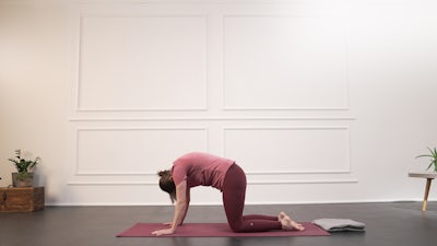 Spüre deinen Körper