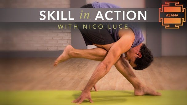 Skill in Action