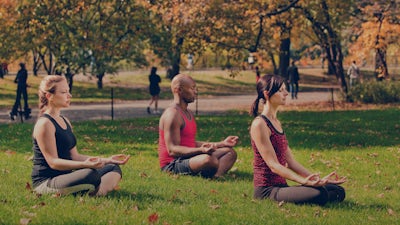 Siddha Scientists with Dr. Baskaran Pillai