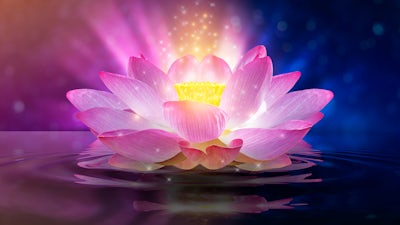 Harmonie Intérieure 