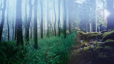 Steadiness of Earth