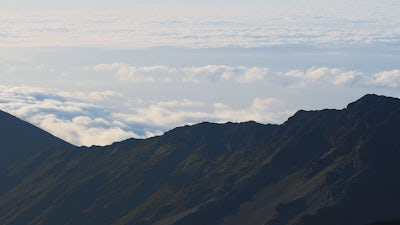 PHI: The Evolution of Consciousness