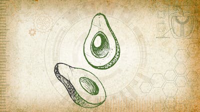 Nutrition : Faites le plein d'énergie pour une vie meilleure