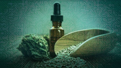 Cannabis: Tree of Life