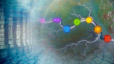 Chakras a lo largo del Nilo